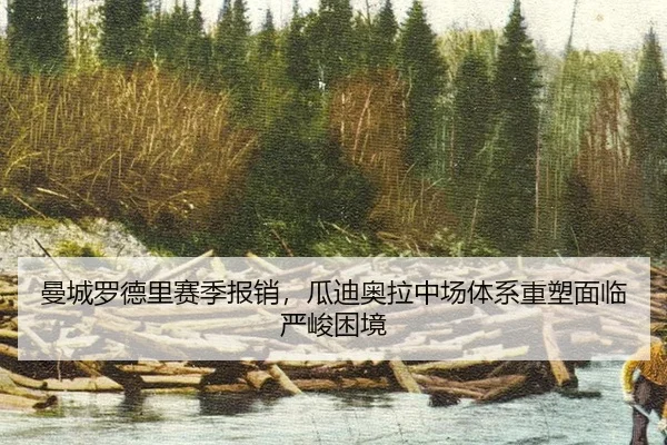 man-cheng-luo-de-li-sai-ji-bao-xiao-gua-di-ao-la-zhong-chang-ti-xi-zhong-su-mian-lin-yan-jun-kun-jing-2-283.jpg