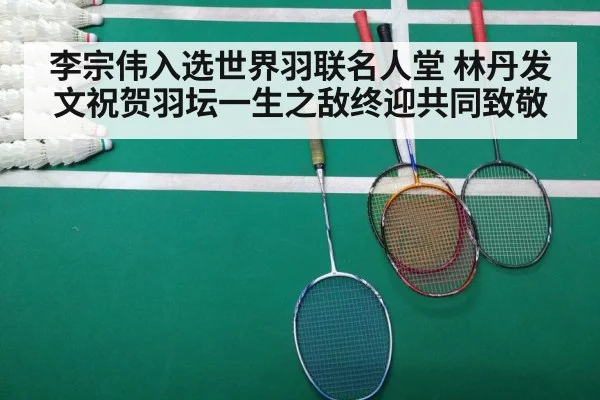 badminton match court